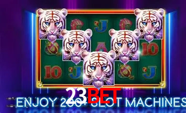 Explorando a Categoria de Eventos em Apostas na 23BET